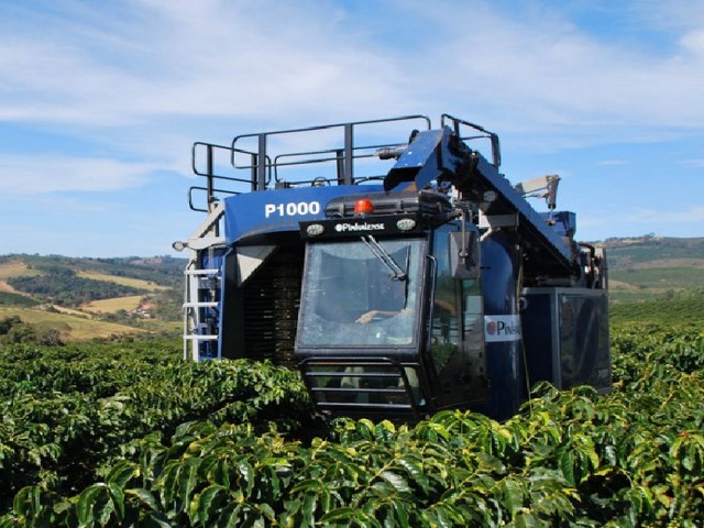 Maquina agricola café